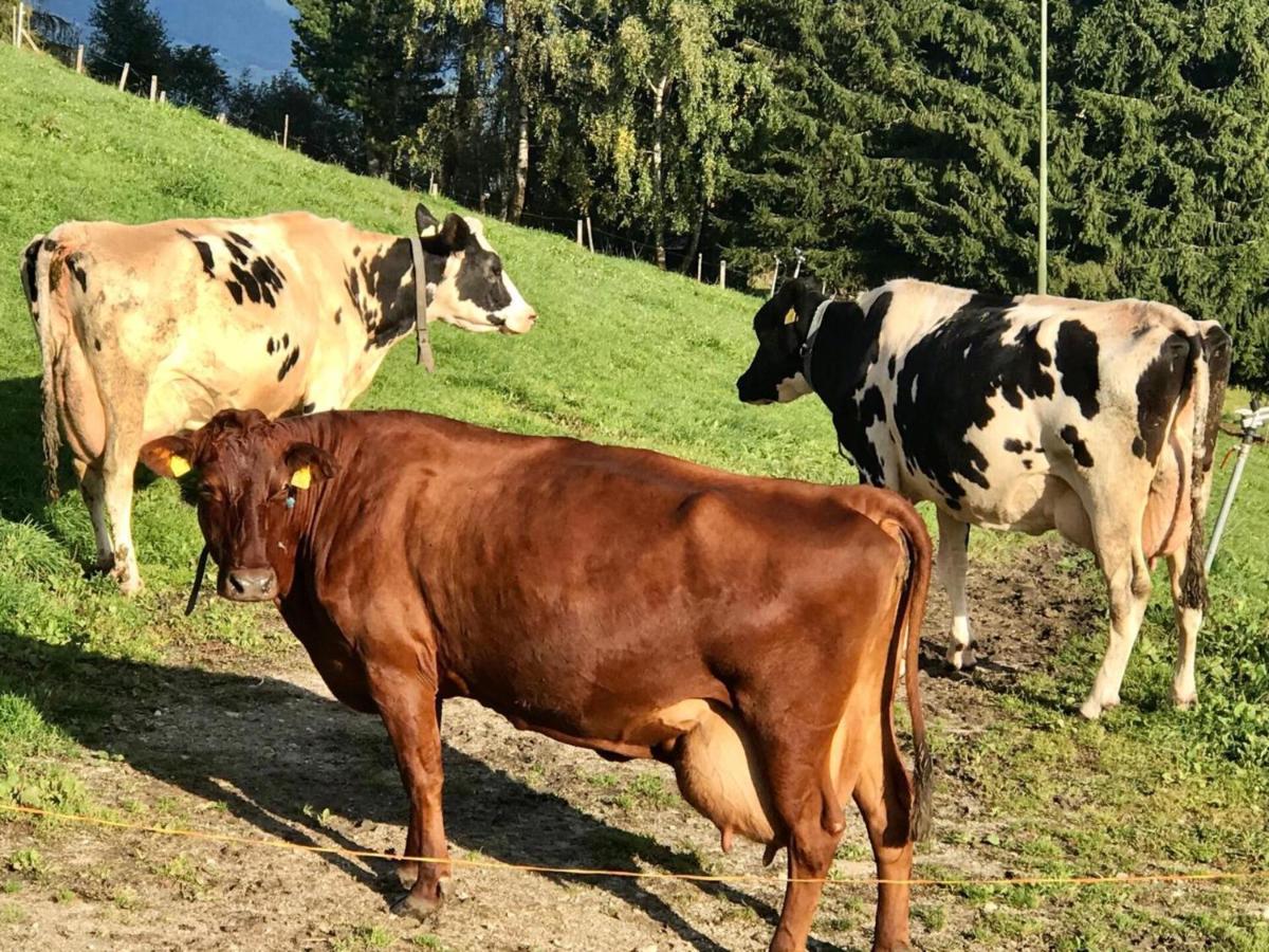 Pitznerhof Lägenhet Meransen Exteriör bild