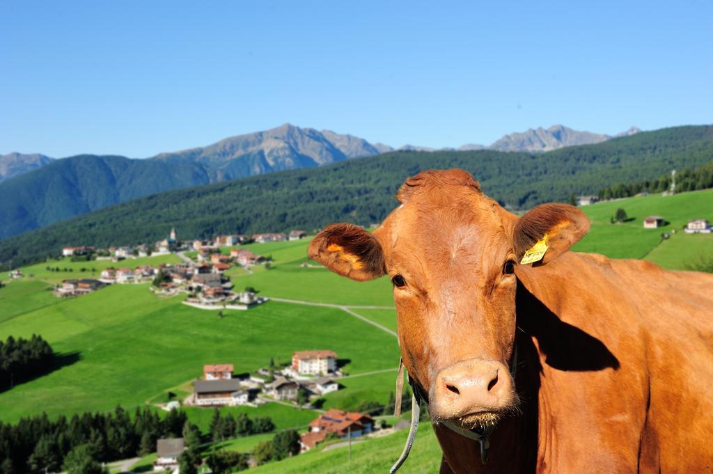 Pitznerhof Lägenhet Meransen Exteriör bild