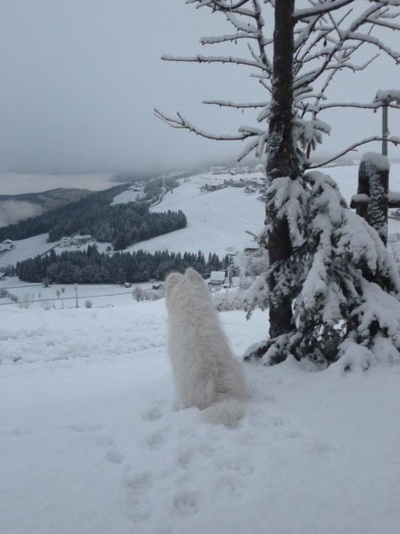 Pitznerhof Lägenhet Meransen Exteriör bild