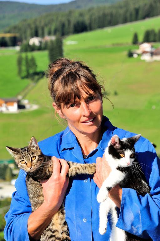 Pitznerhof Lägenhet Meransen Exteriör bild